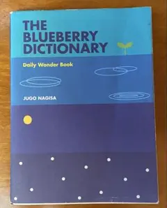 THE BLUEBERRY DICTIONARY 渚十吾★リブロポート★渋谷系