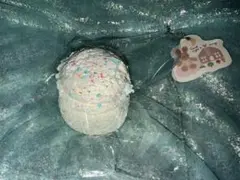 文清 文清很壮 wenqing 海外スクイーズ アイストーストせんべい