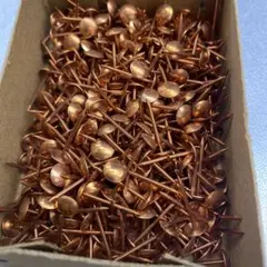 Item thumbnail for item 1cd04252-a6c4-4210-832c-7c9e54b2da9b