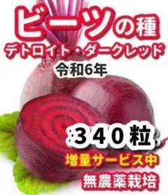 プルメリア様 リクエスト 2点 まとめ商品