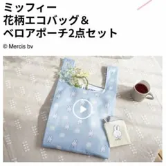 ゼクシィ 3月号 付録 ミッフィー エコバッグ＆ポーチセット
