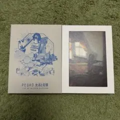 PEDRO/生活と記憶〈初回生産限定盤〉非売品ACOUSTIC CD付き 2026年最新】PEDRO生活と記憶の人気アイテム - メルカリ