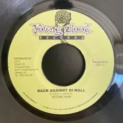 レゲエ Soul Food オケ Beenie Man Young Blood