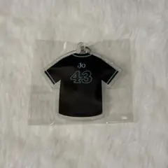 &TEAM BLAZE THE WAY ユニフォーム カプセルトイ JO