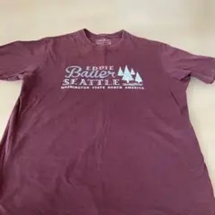 エディバウアー　tシャツ XL メンズ　④