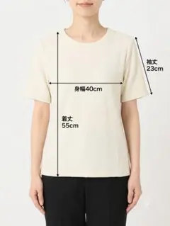 ☆新品未使用☆ベイクルーズ☆アイボリー☆半袖Ｔシャツのサムネイル