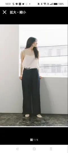 新品　タグ付　ZARA オーガンザボリュームワンピース　　 leimoni 新品 タグ付 ZARA オーガンザボリュームワンピース leimoni