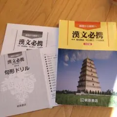 書き込みほぼなし★漢文必携　5訂版　4点セット★桐原書店