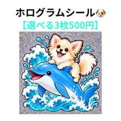 【3枚500円】ホログラムシール　チワワ　イルカ　海　犬　No.35