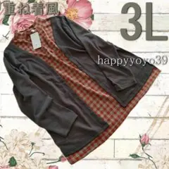 重ね着風チュニック