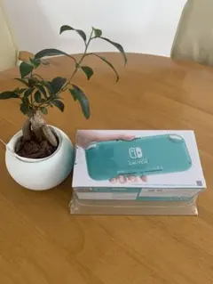 Nintendo Switch Lite ターコイズ 新品未開封