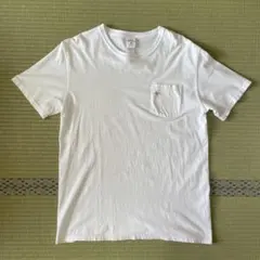 新品未使用 NOAH ホワイト Tシャツ NOAH 新品 ノア NOAH CITRUS CORE LOGO TEE Tシャツ WHITE ホワイト 白