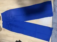 GU 青 スラックス