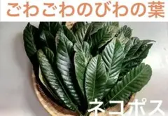 エマ様 リクエスト 3点 まとめ商品