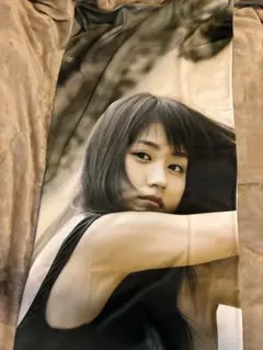 有村架純 抱き枕カバー 150×50 ｜有村架純1抱き枕カバー、高精細両面印刷等身大枕カバー