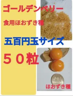 食用ほおずき種　ゴールデンベリー　５０粒のサムネイル