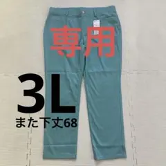 竹内ゆかり様専用　美シルエット素材レギンスパンツ68丈　3L　アクアブルー