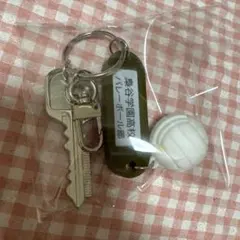 ハイキュー トレーディング高校名付き鍵チャームキーホルダー 梟谷学園高校