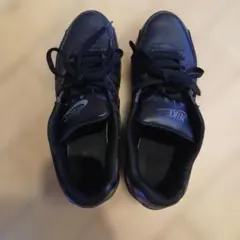 ナイキ エアマックス コマンド 27.5cm