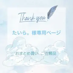 たいら。様専用ページ リクエスト 10枚 まとめ売り