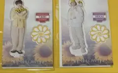 FANTASTICS SUNFLOWER 世界 佐藤大樹 アクリルスタンド