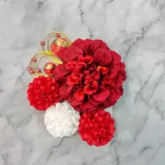 髪飾り　レッドダリア　７点セット