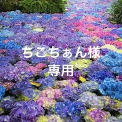 ちこちぁん様 リクエスト 2点 まとめ商品