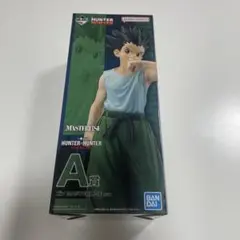 未開封 一番くじ HUNTER×HUNTER A賞 ゴン フィギュア - メルカリ