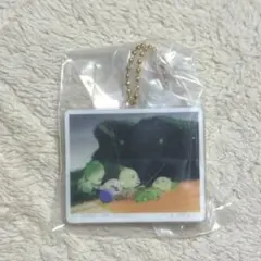 やさいのようせい ガチャガチャ