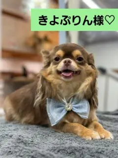 きよぷりん様♡ありがとうございます♡