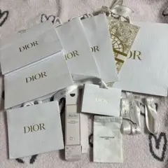 DIOR ショップ袋ショッパーセット