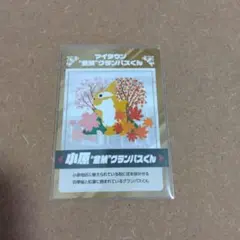 小原"金鯱"グランパスくん限定カード　名古屋グランパス