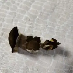 Item thumbnail for item eaa2ee01-94f0-4f14-b402-e3870a20e2eb