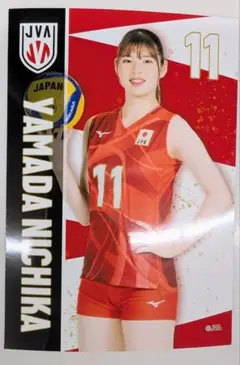 【値下げ中】NECレッドロケッツ 山田二千華選手 サイン入りレプリカユニフォーム NECレッドロケッツ川崎 على X: 