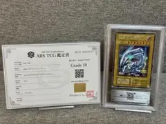 m83337356428_1.jpg?1772575386