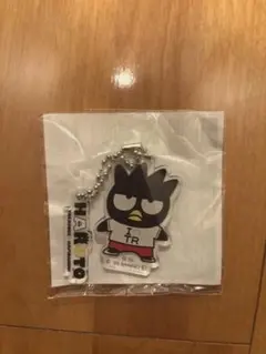 treasure サンリオコラボ　ハルト　アクリルキーホルダー