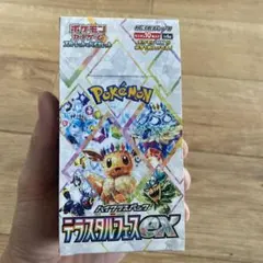 ポケモンメザスタ テラスタルフェスEX