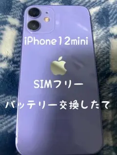 Apple iPhone 12mini パープル 本体 おまけ新品保護フィルム
