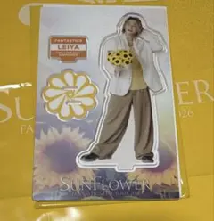 FANTASTICS SUNFLOWER アクスタ アクリルスタンド 瀬口黎弥