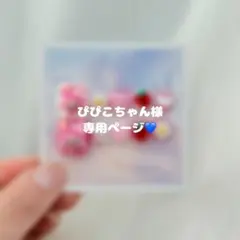 ぴぴこちゃん様 専用ページ