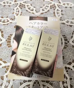 フューチャーラボ ヘアボーテエクラ ボタニカルヘアブラッシュ 4本