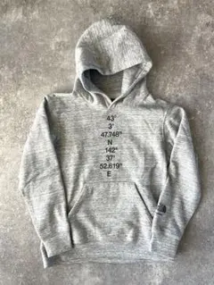 the north face standard hoodie S