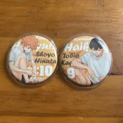 ハイキュー!! 日向翔陽 影山飛雄 ピンバッジ 2個セット