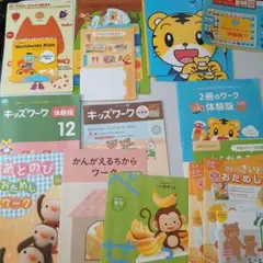未使用体験版年少こどもちゃれんじイングリッシュZ会16種類ＤＶＤ4枚