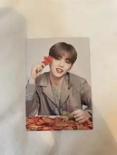 SEVENTEEN Ode to you トレカ エスクプス