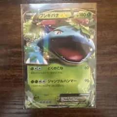 フシギバナEX SR XY 拡張パック「コレクションX」 キラ 061/060 - メルカリ