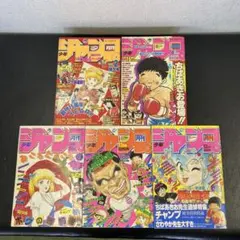 Item thumbnail for item 16117709-81ec-43af-a188-fdf84fc532ed