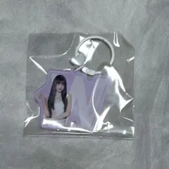 ウォニョン IVE チャーム キーホルダー