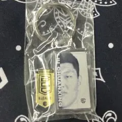 Item thumbnail for item 7e61d9f2-4ced-44e1-b3b1-2158d160622a