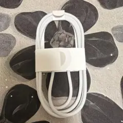 Apple純正 USB-c 充電ケーブル